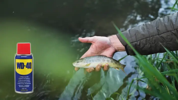 Why Shouldn't You Use WD-40 as an Attractant During Fishing