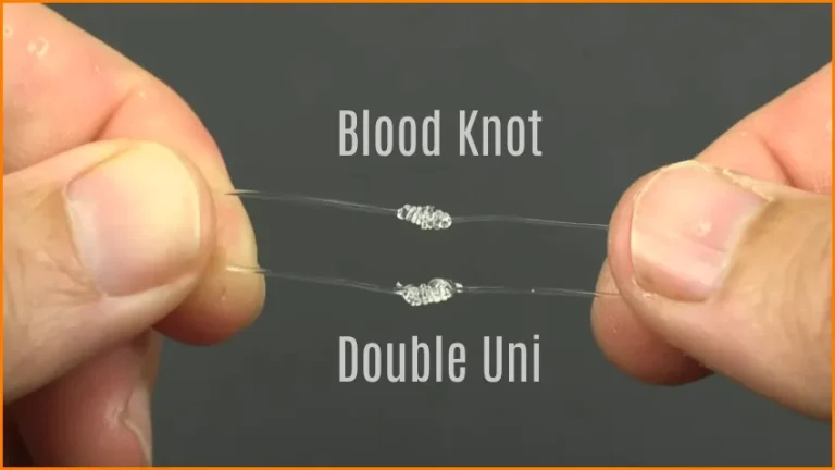 Blood Knot vs Double Uni: 8 Differences When Fishing