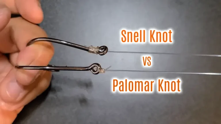 Snell Knot vs Palomar Knot for Fishing Hooks: 6 Significant Differences