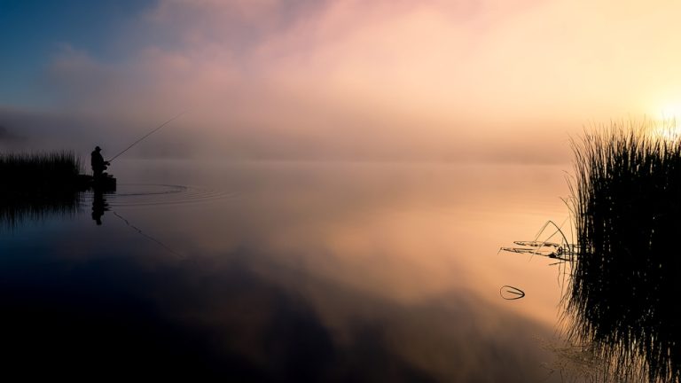 Why Do Fish Bite Early Morning