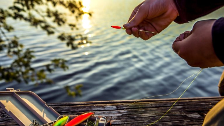 Beginner Fishing Tips