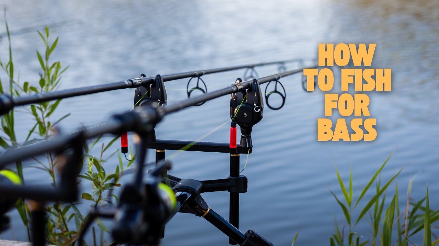 How to Fish for Bass