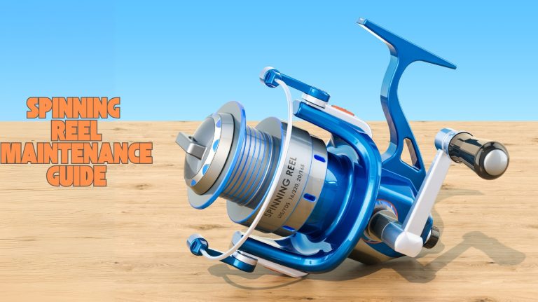spinning reel maintenance guide