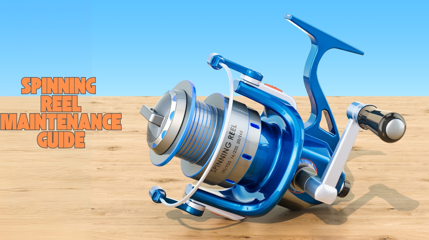 spinning reel maintenance guide