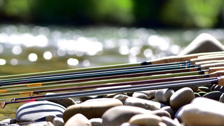 Best Budget Fly Rods