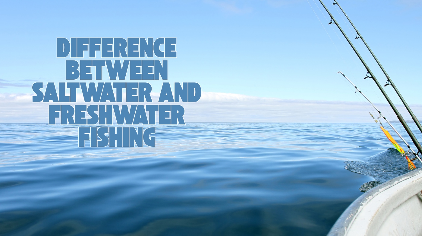 difference between saltwater and freshwater fishing