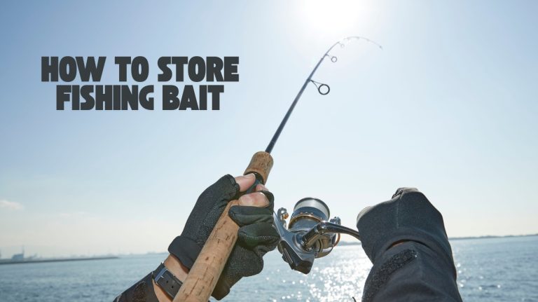 how to store fishing bait
