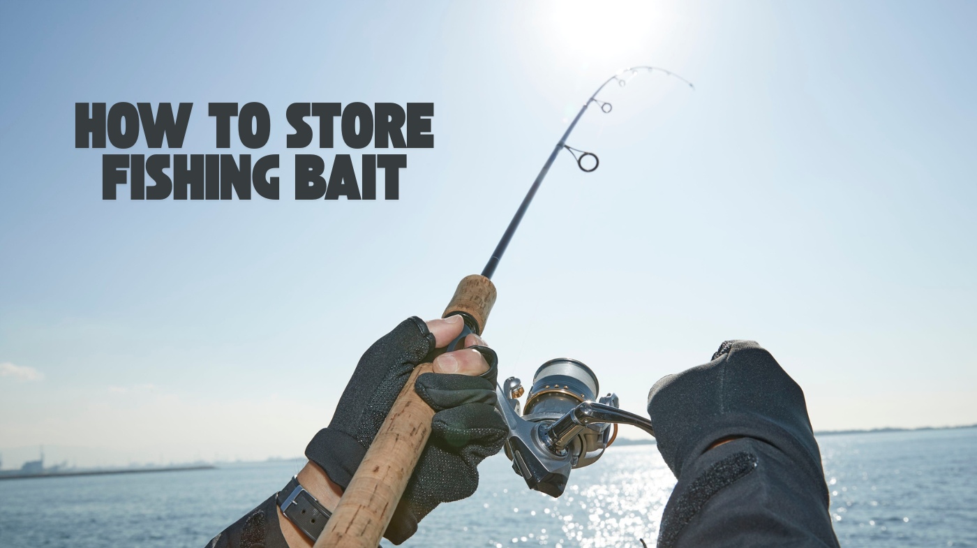 how to store fishing bait