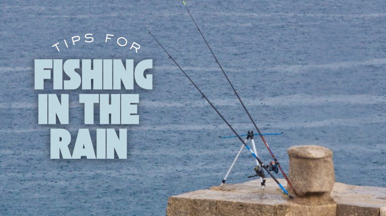 tips for fishing in the rain