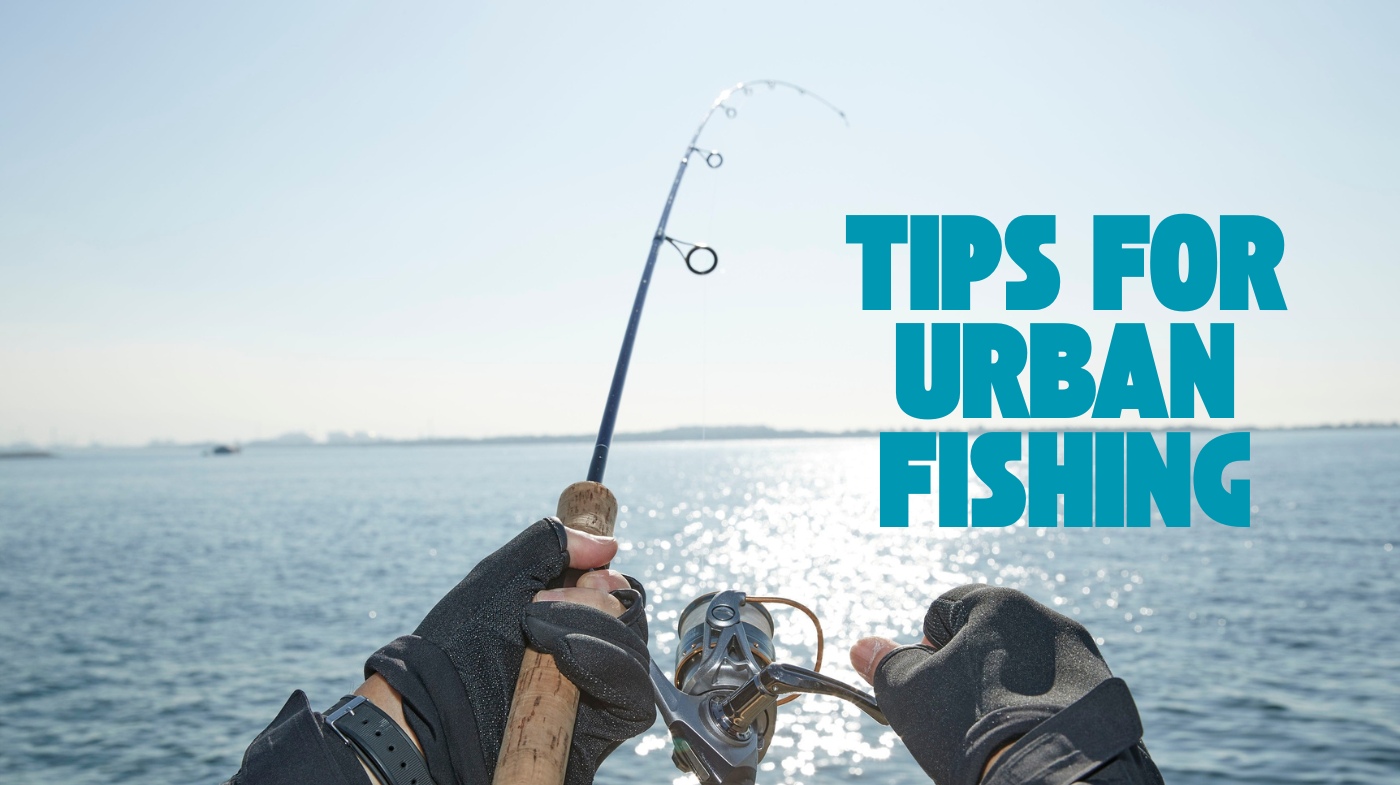 tips for urban fishing