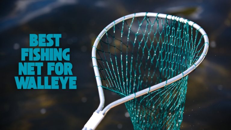 best fishing net for walleye