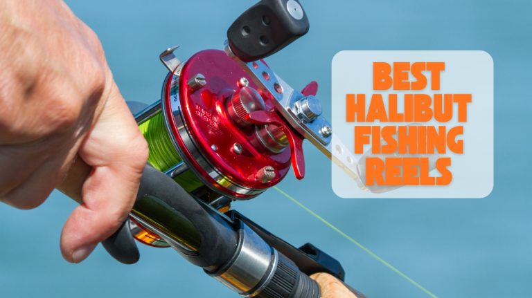 best halibut fishing reels