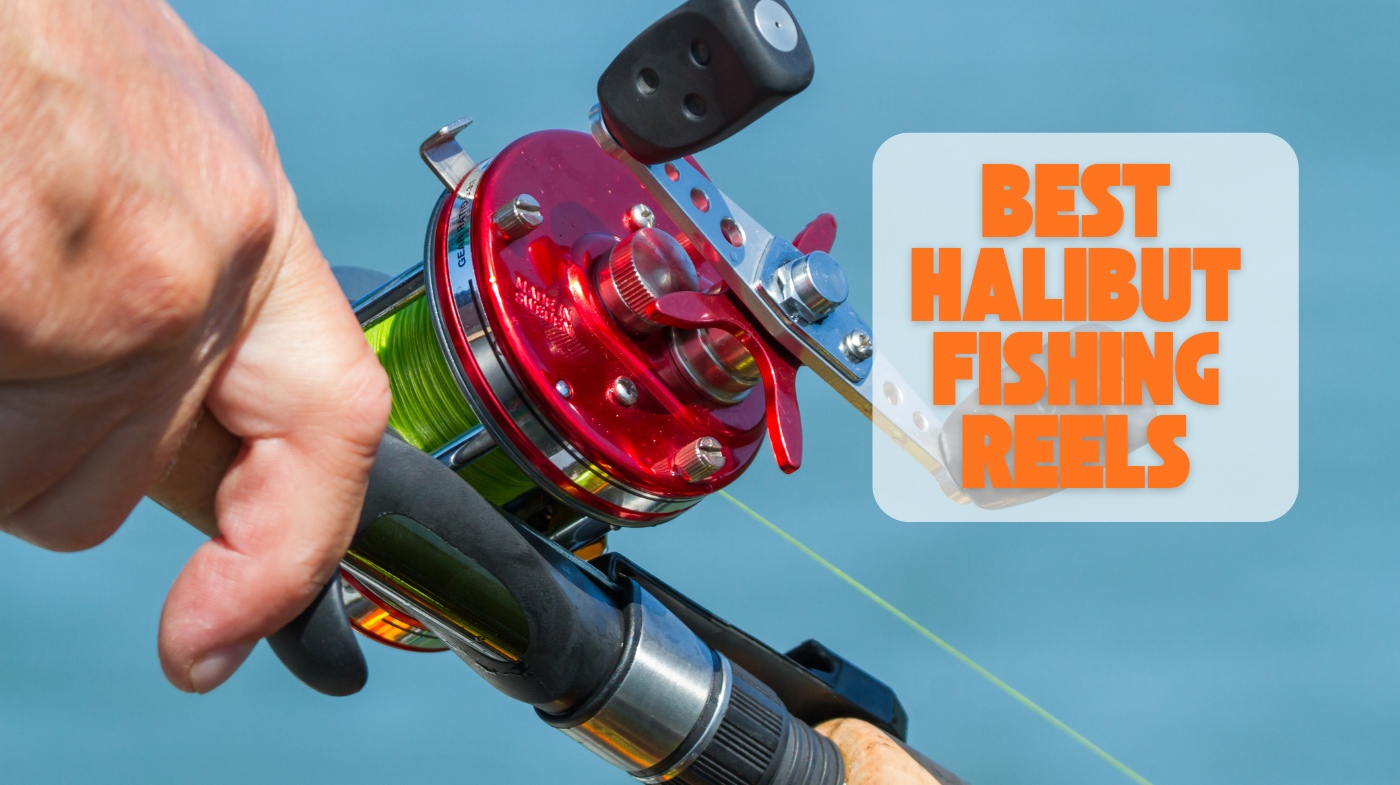 best halibut fishing reels