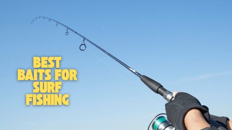 best baits for surf fishing